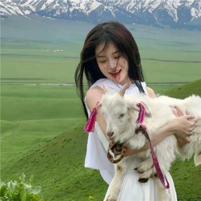 元祖观察之死无对证